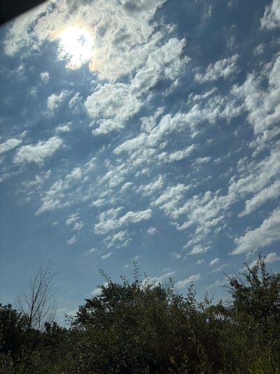 The image shows a sky filled with scattered, wispy clouds and the sun partially obscured by clouds. The sun emits a bright, yellowish-white light. Below the sky, there is a dense line of dark green foliage, consisting of trees and bushes. On the left side of the frame, a bare, dead tree with thin branches stands out against the sky and foliage. The overall scene appears to be an outdoor, natural environment. The image is taken from a low angle looking upwards. There are no people or specific landmarks to indicate a location within the city of Tetovo, Bulgaria.