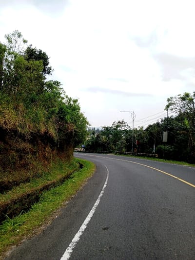 The scene depicts a two-lane asphalt road curving through a vegetated area in Ciloto, Indonesia. The dark gray road surface features a solid white line delineating the left shoulder and a combination of broken yellow and broken white lines marking the center. To the immediate left, an earthen embankment rises, exhibiting reddish-brown soil largely covered by green grass, shrubs, and various trees. A narrow, concrete-lined drainage channel parallels the road at the base of the embankment. To the right, a dark metallic guardrail borders the roadway, behind which dense green foliage and trees are visible. A streetlight pole with a horizontal arm extends over the road, supporting multiple overhead utility wires. A rectangular, light-colored sign is suspended from a tree on the right, with another smaller, dark sign affixed to the streetlight pole. Distant hills are partially discernible through the trees. The sky is largely obscured by white and light gray overcast cloud cover. No individuals or vehicles are present.