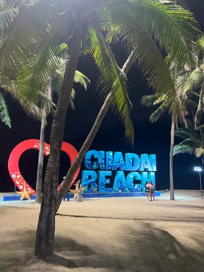 A nighttime scene on a sandy beach in Hoi An, Vietnam, features a large, illuminated blue sign with the words "Hoi An Beach" in bold, playful lettering. The letters are decorated with aquatic-themed illustrations. Two young women are posing in front of the sign, smiling and looking towards the camera. One woman is wearing a black and white striped top and shorts, while the other is wearing a pink top and dark bottoms.

In the foreground, palm trees with long, green fronds are prominent, their trunks silhouetted against the dark night sky. The fronds are lit from below by the sign's illumination, casting dappled shadows on the sand. A large, red heart-shaped decoration with seashell and starfish motifs is positioned below the sign, further enhancing the beach ambiance. A few starfish figures are also attached to the sign's base and the heart. The beach is sandy, with tire tracks visible, suggesting it's a public area. In the background, a light pole with multiple floodlights is visible, indicating a well-lit tourist area. The overall atmosphere is festive and cheerful, capturing a moment of enjoyment at a popular beach destination.