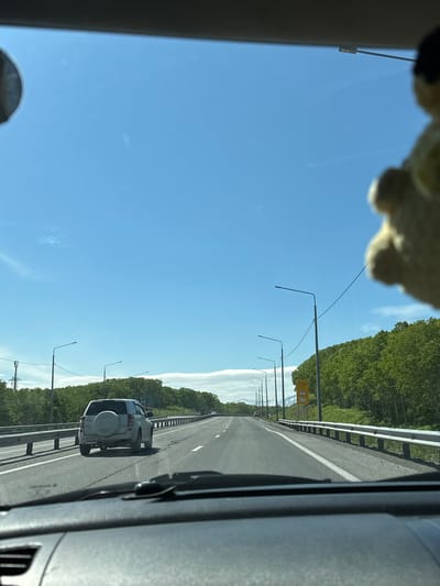 The image is taken from the perspective of a driver inside a car on a highway. The road ahead is clear, with a white SUV in front and a few other vehicles in the distance. The highway is lined with trees and lampposts. The sky is blue with a few scattered clouds. The location is identified as being in the city of Svetly, Russia, specifically on a highway. There are no people visible outside the vehicles. The overall scene depicts a typical day on a highway in a rural or semi-rural area.