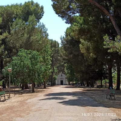 This is a medium shot, taken outdoors on a sunny day, looking down a tree-lined pathway towards a small white building with a cross on top, likely a church or chapel. The pathway is made of dirt and gravel, with patches of dry grass and sparse trees on either side. Several park benches are visible along the sides of the pathway, some empty and some occupied by unseen individuals. The trees are tall and dense, creating a canopy that casts shadows on the path. In the foreground, a single green park bench sits on the left, and a lamppost is nearby. The date stamp "16.07.2026 14:23" is visible in the bottom right corner. The scene appears to be a park or a public garden within the city of Grumo Appula, Italy, judging by the architectural style of the building and the presence of pine trees, which are common in the Mediterranean region.