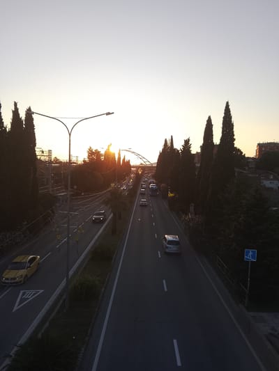 This is a high-angle, full shot of a highway at sunset, with cypress trees lining the sides of the road. The sun is low on the horizon, casting a warm glow over the scene and creating lens flares. There is traffic on the highway, including cars, a bus, and a yellow taxi. A pedestrian crossing sign is visible on the right side of the road. The image appears to be taken from an overpass or a high vantage point. The setting is consistent with a suburban or urban environment in Oryol-Izumrud, Russia, given the presence of apartment buildings in the background and the general infrastructure.