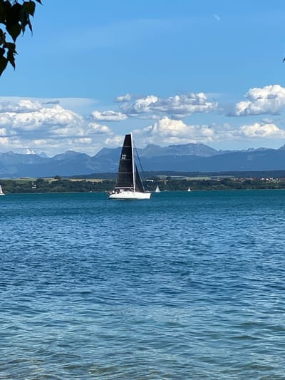 A sailboat with a black sail and a white hull navigates on a bright blue lake under a partly cloudy sky. The sailboat has the registration "SUI 312" printed in white on its sail. In the background, a tree-lined shore is visible, with buildings peeking through the foliage. Beyond the shore, a range of blue mountains stretches across the horizon, with snow-capped peaks visible in the distance. The foreground features the rippling surface of the lake, with a rocky or pebbly shoreline at the bottom of the frame. The scene is captured from a slightly elevated perspective, looking across the water towards the distant landscape.
