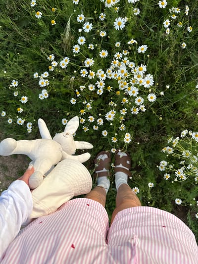 A top-down, medium shot captures a person sitting in a field of daisies in Snovitsy, Russia. The person is wearing a white long-sleeved shirt, white socks, brown sandals, and pink and white striped shorts with small red heart details. They are holding a stuffed white bunny rabbit and a light-colored bucket hat. The ground is covered with green grass and numerous white daisies with yellow centers. The field appears natural and slightly unkempt. The lighting suggests it is daytime, possibly late afternoon or early evening, with soft shadows. The overall scene evokes a sense of peaceful leisure in nature.