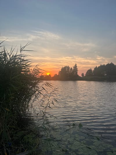 This photograph depicts a serene sunset over a body of water, likely a lake or river, near the village of Karkliniai, Lithuania. The sun, a bright orange orb, is partially obscured by the silhouettes of trees and reeds along the distant shoreline, casting a warm glow across the sky and water. The sky transitions from a pale blue at the top to shades of orange and pink near the horizon, with wispy clouds scattered throughout.

In the foreground, tall green reeds and grasses line the left bank of the water, their forms dark against the bright sky. Lily pads and other aquatic vegetation are visible floating on the water's surface closer to the bank. The water itself is calm, with gentle ripples reflecting the colors of the sunset. The opposite bank is densely lined with dark green trees, creating a natural border to the water. The scene is devoid of any human presence or activity, presenting a tranquil natural landscape.
