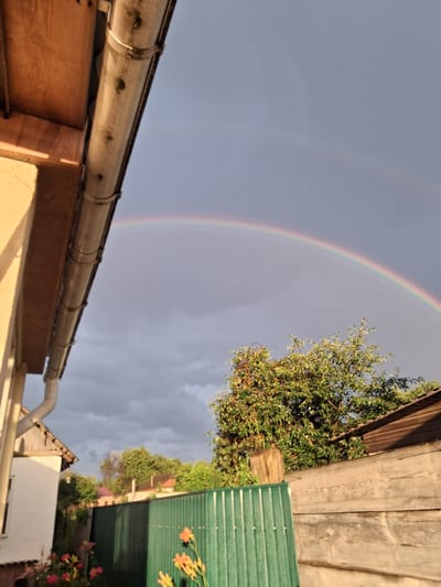 The image depicts a suburban or rural backyard scene in Krolevets, Ukraine, under a sky with a rainbow. In the foreground, a section of a light-colored house with a wooden roof overhang and a gutter is visible on the left. Adjacent to the house is a green corrugated metal fence. To the right of the fence, a weathered wooden fence with horizontal planks is present. Behind the fences, a dense green tree with visible branches and foliage is in the middle ground, partially obscuring a wooden structure with a sloped roof. The background shows a cluster of trees and residential rooftops under a cloudy, grayish sky where a rainbow arcs. The overall atmosphere suggests a post-rain environment. There are no people visible in the image.