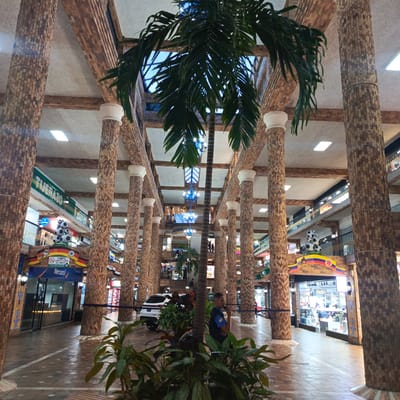 The image depicts the interior of a multi-level shopping mall in Carrizal, Venezuela, characterized by large, decorative pillars clad in a mosaic of small, earth-toned tiles. A central palm tree extends upwards, its fronds reaching towards the glass ceiling which allows natural light to filter in, supplemented by artificial lighting from rectangular ceiling panels and ornate chandeliers. The mall's architecture features exposed wooden beams and multiple balconies with railings, housing various shops and businesses. Signs and flags are visible, including what appears to be a Colombian flag archway with soccer balls, and German flag motifs above a "Mercantil" establishment. A white SUV is parked in the foreground to the right, and a security guard in a dark blue uniform with a black vest is standing near a palm tree in the mid-ground to the right, appearing to be on duty. The tiled floor has a patterned arrangement of squares. The overall impression is of a commercial space with a tropical aesthetic.