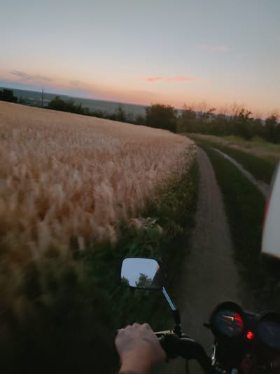 A first-person perspective shot from a motorcycle shows a dirt path leading through a wheat field at sunset. The sky displays a gradient of light blue to pink, with wisps of clouds. The wheat field is golden and appears to be in motion, suggesting the motorcycle is moving. The path is on the right side of the field, bordered by grass and some scattered vegetation. In the foreground, a hand is visible on the handlebars, and a motorcycle's speedometer is also in view, indicating a speed of approximately 20 km/h. The overall setting appears to be rural, possibly in the vicinity of Filipeni, Moldova, given the landscape and time of day.