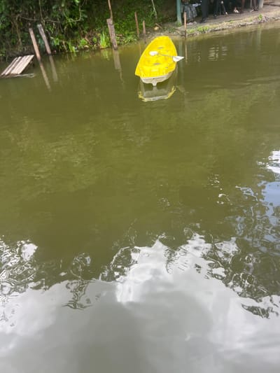 The image shows a yellow boat in murky water near a shoreline. The boat appears to be a small pedal boat with two seats and paddles. The shoreline is overgrown with vegetation and some wooden structures. Reflections of clouds are visible in the water. The location is specified as Kisanga, Tanzania.