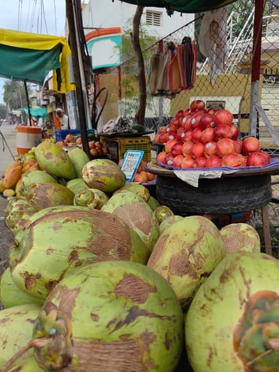 An outdoor fruit stand in Malkapur, India, displays a variety of fruits. In the foreground, a pile of green coconuts is prominently featured. Behind the coconuts, red apples are stacked on a platter. Other fruits, including papayas and possibly pomegranates, are visible further back. A blue sign with the Paytm logo is placed among the fruits. The stand is covered by a green and yellow awning. In the background, a street scene with buildings and trees can be observed. A few people are present, including a man in a white shirt and cap standing behind the fruit stand. The overall setting appears to be a busy marketplace.