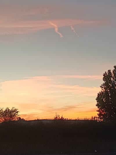 An image captures a sunset over Arun, United Kingdom. The sky displays a gradient of colors, transitioning from a pale blue at the top to shades of orange and pink closer to the horizon. Wispy clouds are scattered across the sky, some tinged with pink. In the foreground, a dark silhouette of land runs horizontally, obscuring the lower portion of the scene. Silhouetted against the sunset are trees and a fence. The overall atmosphere is calm and serene, indicative of a typical evening in a rural or semi-rural setting within the Arun district.
