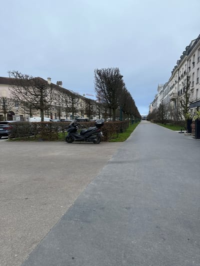 The image depicts a wide, unpopulated urban promenade or boulevard in Serris, France, under an overcast sky. In the foreground, the ground consists of a lighter grey, textured asphalt surface on the left, meeting a darker grey, smoother paved path on the right along a diagonal line extending from bottom left to center right. A black maxi-scooter with a rear storage box is parked on its stand on the lighter grey asphalt, facing left. Behind the scooter and parallel to the darker path is a low, dense hedge of deciduous shrubs. Beyond this hedge, a row of bare, evenly pruned deciduous trees with rounded canopies lines the left side of the scene, interspersed with green grass at their bases. Further left, a line of parked vehicles, including a white van and a dark passenger car, is visible. On the left side of the street, multi-story buildings with light-colored facades and dark roofs extend into the distance. A construction crane is visible above the buildings and trees in the far left background. On the right side of the image, a parallel row of similar bare, pruned trees with patches of green grass separates the main path from a long line of multi-story buildings featuring white facades, balconies, and mansard roofs, extending into the distant horizon. The street, trees, and buildings converge in the distance, where the path appears to terminate at another building. No individuals or active interactions are present in the scene.