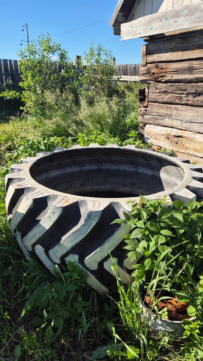 The image shows a large, worn tractor tire lying on its side amidst overgrown green vegetation. The tire has a distinctive tread pattern with alternating black and off-white painted sections. To the left of the tire, a weathered wooden structure, possibly a fence or part of a building, is visible. Beyond the structure, a clear blue sky stretches across the frame. The lighting suggests it is daytime, with sunlight illuminating the scene and casting shadows. The overall impression is one of a rural or semi-abandoned outdoor setting, possibly in a backyard or field, with elements of nature reclaiming man-made objects. No people or specific activities are depicted. The location context of Bulatovo, Russia, suggests a rural Russian landscape.