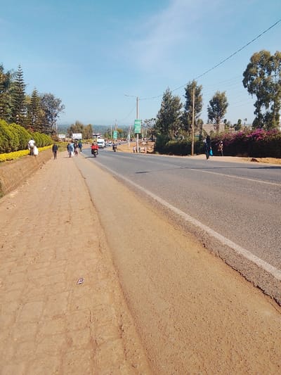 A sunny day captures a straight road with a wide dirt shoulder merging into a paved walkway. People walk along the path, and vehicles are visible on the road, including a motorcycle. Green trees and shrubs line the sides of the road, some displaying pink flowers. Utility poles and wires stretch along the street. Distant mountains are faintly visible in the background under a clear blue sky.