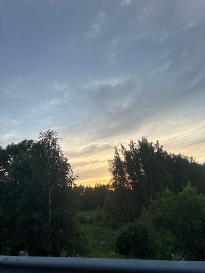 This is a landscape image captured outdoors in Maiskii, Russia. The scene is dominated by a thick forest of dark green trees on the right side of the frame, transitioning into a wide expanse of sky on the left. The sky is a mix of soft blue with scattered, wispy clouds, streaks of which are illuminated by a warm, golden light, suggesting either sunrise or sunset. The overall lighting creates a serene and tranquil atmosphere.
The image appears to be taken from a slightly elevated perspective, possibly from a bridge or a similar structure, as indicated by the presence of a grey metal railing along the far right edge of the frame. Behind the railing, a small, white, U-shaped object is visible, possibly part of the structure or an indicator. The forest is dense and appears to be a natural woodland area. The time of day is either early morning or late evening, indicated by the low angle of the sun and the soft, warm hues in the sky and reflecting off the clouds. There are no people or specific objects of note within the forest or sky, making the natural landscape the primary subject. No text is visible in the image.