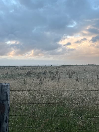 The image presents a serene rural landscape, likely near Fécamp, France. The upper portion of the frame is dominated by a vast sky filled with grey-blue clouds. Patches of soft, golden light break through the clouds on the left side, suggesting either the early morning hours of sunrise or the late afternoon light of sunset.
A faint, light grey horizon line stretches across the mid-distance, separating the sky from the distant land. Along this horizon, several slender, dark fence posts are visible, receding into the background.
The lower half of the image features an extensive field of tall grass or agricultural crops. The vegetation displays varying textures and hues, with lighter, possibly dried-out stalks intermingled with greener sections. A barbed wire fence runs horizontally across the field, closer to the foreground, marked by thin, dark lines of wire. In the bottom right corner, a weathered, dark wooden fence post stands prominently, grounding the foreground of the scene.
There are no people or specific activities taking place, and no visible text. The image captures a quiet, expansive moment in a natural, agricultural setting under a diffused, ambient light.