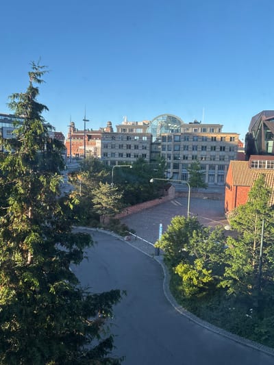 This image depicts a view of a street and buildings in Malmö, Sweden, likely during daylight. In the foreground, a large evergreen tree dominates the left side of the frame, its branches casting shadows. A paved road curves through the scene, bordered by a cobblestone pathway and low stone walls. Several trees and bushes with green foliage are interspersed throughout the mid-ground.
In the background, a cluster of modern and older buildings are visible. One prominent building features a large glass dome or atrium. Other buildings display a mix of architectural styles, with visible windows and facades. Signs on some buildings are partially legible, with "Deloitte." being clearly visible. The sky is a clear, bright blue. There are no people or animals directly visible in the image. The scene appears to be an urban environment with a mix of green spaces and commercial or residential structures.