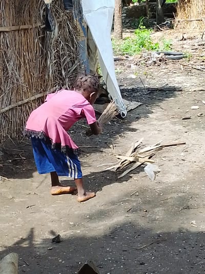 In Otulu, Nigeria, a young child, appearing to be of African descent, is seen in a rural or semi-rural environment. The child is wearing a vibrant pink dress with black lace trim over blue shorts that feature white stripes. They are barefoot, with their feet appearing tanned from sun exposure.
The child is actively engaged in sweeping, holding a broom made of dry reeds or straw. The broom is poised as if mid-sweep, aimed at a small pile of dry, brown plant material and a piece of white plastic debris on the dirt ground. The action suggests a task being performed in an outdoor setting.
The background consists of a rustic structure, possibly a dwelling, constructed from dried reeds and bamboo. A large, white sheet or tarp is partially visible, draped over some unseen support. The ground is composed of packed dirt, scattered with dry leaves, twigs, and some debris, including the aforementioned plastic. Lush green vegetation is visible further in the background, indicating the presence of plant life in the surrounding area. The lighting suggests it is daytime, with sunlight casting shadows on the ground. The overall impression is of a simple, everyday scene in a rural Nigerian community.