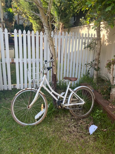 A white bicycle lies on its side on grass, partly resting against a white picket fence. The bicycle has a front basket and a brown leather seat. A piece of white paper sits on the grass near the back wheel. The scene appears to be in a garden or yard, with a wooden beam also present. The location is Stanwell Park, Australia.