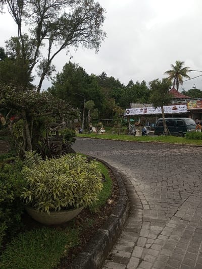 A curving stone pathway leads through a lush landscape. A large potted plant sits near the road's edge. Buildings with signs are visible in the background, along with parked cars and people. Trees of varying sizes dot the scene, including a tall palm tree. Overcast sky.