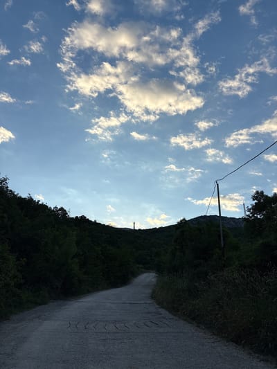 The image depicts a dirt road winding through a forested area under a sky with scattered clouds. The road is rough, with visible reinforcement bars protruding from the surface in a wavy pattern. Dense green foliage lines both sides of the road, obscuring much of the underlying terrain. In the distance, silhouetted against the sky, is a tall, slender structure resembling a smokestack or tower, possibly part of an industrial facility. A utility pole with a power line stretches across the upper right portion of the frame. The lighting suggests it is either early morning or late afternoon, with the sun low on the horizon. The scene appears to be located outside of a populated area, emphasizing a natural and somewhat remote environment.