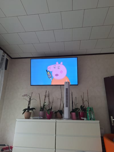 The image depicts an indoor living room scene, specifically on the wall of a room. A flat-screen television mounted on the wall displays a cartoon character, Peppa Pig, holding a mobile phone. Below the television, a white dresser holds several potted plants, a tall white fan, and various decorative items. To the right of the dresser, a dark-colored door with a silver handle is visible. The room is illuminated by natural light, likely from a window, casting a warm glow on the scene. The ceiling is covered with white, rectangular tiles. The dresser appears to be a piece of furniture in a home. This scene is consistent with a typical residential interior. The location is identified as Visé, Belgium.