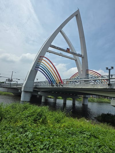 The image shows the Rainbow Bridge over a river in Anseong-si, South Korea. The bridge features a large, white, arching structure with colorful rainbow-like elements. Text on the bridge reads "City of Masters" and "안성맞춤도시 안성." A smaller, older bridge is visible in the background, along with traffic lights and power lines. The foreground is filled with lush green vegetation and the river flows beneath the bridge. The sky is partly cloudy.