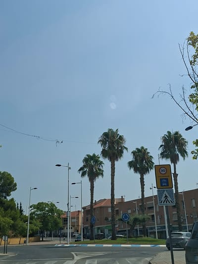 This image depicts an outdoor scene with a clear, pale blue sky. The foreground is dominated by several tall palm trees, their fronds rustling slightly. A tree branch with green leaves extends from the top left corner of the frame.

In the background, there are buildings with beige and brown facades, some with balconies and shutters. A street runs along the right side of the image, with a pedestrian crossing marked by white stripes. Several lampposts line the street. There are also traffic signs visible: a yellow sign with "30 CICLOCALLE" and a bicycle and bus symbol, indicating a speed limit of 30 km/h and a shared lane for cyclists and buses. Another sign shows a pedestrian crossing symbol. A blue circular sign with a white arrow indicating a roundabout is also present.

The presence of palm trees, specific traffic signs (like "CICLOCALLE"), and the architectural style of the buildings suggest a location in Spain, possibly in a warm climate. The bright sky indicates it is daytime, likely mid-morning or afternoon, with fair weather. No people are clearly visible, but the scene suggests a moderately populated urban or suburban area. The overall impression is one of a sunny day in a town with pedestrian-friendly infrastructure.