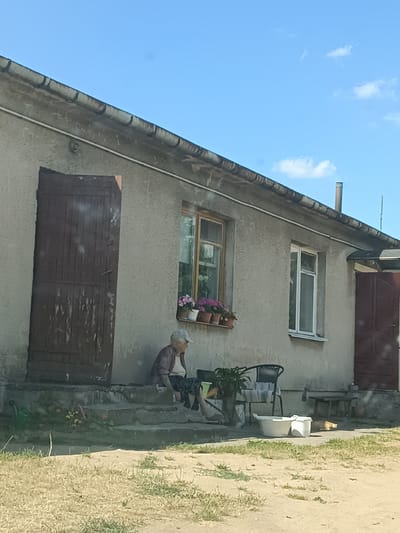 An elderly woman with a light-colored baseball cap and a floral-patterned shirt is seated on the concrete steps of a weathered, light-gray building. She is facing to her right. The building has a dark brown wooden door on the left and a window above her with planters containing pink flowers. To the right of this window are two more windows, one with a white frame and a translucent pane, and another beyond it with a dark red door. In front of the building, on the ground, are several objects including a white plastic basin, a chair with a striped cushion, a potted plant, and a small wooden table. A ginger cat is visible lying on the ground near the right side of the building. The ground is covered with dry grass and dirt. The sky above is clear and blue. The image appears to have been taken in Zaręby Kościelne, Poland, based on the provided location.