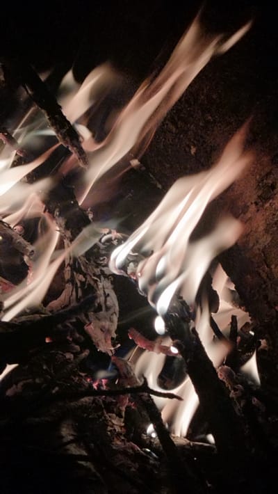A close-up, vertical, low-angle shot captures the dynamic movement of flames from a fire in Tarasovskoe, Russia. The fire is composed of multiple streams of light-colored flames that curl and twist, illuminating charred wood and embers. The background is dark and indistinct, suggesting an outdoor, nighttime setting. There are no people or animals visible in the image. The focus is solely on the fire itself and the burning wood.