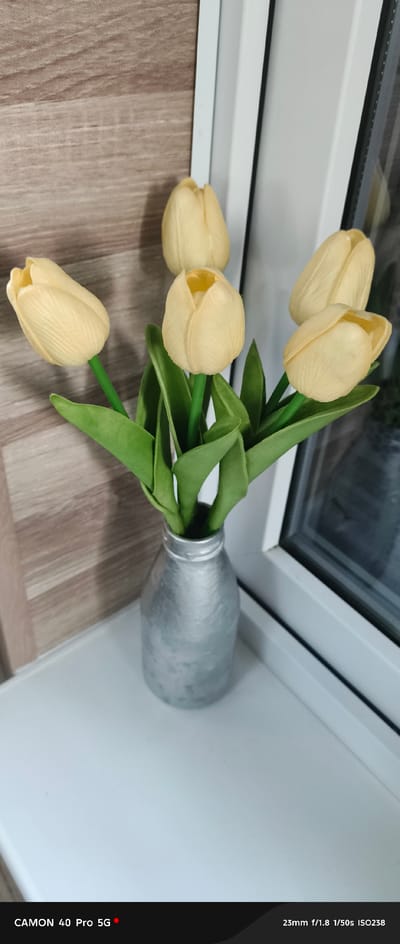 A bouquet of five artificial yellow tulips in a silver vase sits on a white shelf. The background features a wood-paneled wall and a window with a reflection. The overall scene is indoors, likely a home or office. The lower portion of the image displays text overlays: "CAMON 40 Pro 5G" and "23mm f/1.8 1/50s ISO238". There are no people present, and no actions or interactions are depicted. The location is not specified in the image itself, and therefore cannot be determined to be Bugulma, Russia.