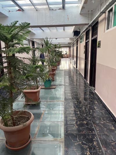 The image depicts a long, narrow hallway with a glass floor and a tiled floor. Along the left side of the hallway, several potted plants are arranged. The walls are painted a light color, and there are multiple doors leading off the hallway. The ceiling appears to be made of translucent panels with some visible structural elements and peeling paint. Natural light filters through the ceiling, illuminating the hallway. In the background, two individuals are visible, one standing near the end of the hallway and another further down. The overall impression is of an interior corridor, possibly in a residential or commercial building. Without further information, the specific location within Kabul, Afghanistan cannot be determined from the visual cues alone.