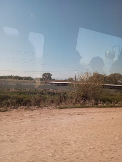 The image, likely taken from a moving vehicle, shows a rural or semi-rural landscape. The foreground is dominated by a dirt road, light brown in color, with visible tracks and textures. Above the road, a strip of green vegetation is visible. Beyond that, a chain-link fence runs horizontally across the scene, partially obscuring a series of long, low buildings. The buildings appear to be agricultural or industrial in nature, possibly barns or storage facilities, with white or light-colored walls and dark roofs. In the background, a line of trees provides a horizon line against a clear, light blue sky. There are reflections in the window suggesting that the photograph was taken from inside a vehicle. These reflections consist of the silhouette of two people wearing baseball caps. Based on the reflection of the rearview mirror, one of them is the driver.

The location cannot be confirmed to be in the city of Pyatiletka, Russia. Additional images or data are required for confirmation.
