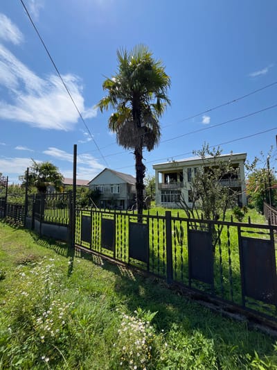 The image depicts a residential area in ღრმაღელის თემი, Georgia, under a clear blue sky with scattered clouds. A black, ornate metal fence runs horizontally across the foreground, bordering a lush green lawn dotted with small white flowers. Beyond the fence, a tall palm tree stands prominently, with several other palm trees and various trees and foliage visible in the background. Two houses are present; one is a single-story structure with a light-colored facade and a dark roof, while the other is a multi-story building with a light-colored exterior and balconies. Power lines stretch across the upper portion of the frame, supported by utility poles. The overall scene suggests a sunny day in a semi-rural or suburban setting.