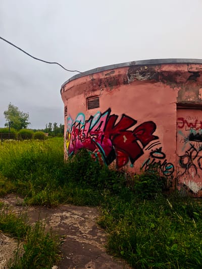 A wide, medium shot captures a dilapidated, cylindrical building with a weathered, pink exterior. The building is heavily adorned with graffiti, most prominently a large, stylized piece in shades of red, pink, and teal, with black outlines. Smaller tags and scribbles are scattered across the surface, including on what appears to be a metal door to the right. The building has a ventilation grate on its upper left side.

The structure is surrounded by overgrown green grass and vegetation, suggesting a neglected or abandoned location. A thin, dark wire runs horizontally across the upper portion of the image, disappearing off to the left. In the background, beyond the building and the tall grass, is a blurred view of trees and what might be a fence, hinting at a semi-rural or park-like setting. The sky is overcast and a uniform grey, indicating a cloudy or foggy day. The overall mood is one of decay and urban exploration, with the vibrant graffiti contrasting with the muted, somber surroundings. No people are visible in the image. The location context provided is Zaprudnya, Russia.