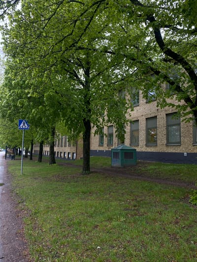 The image shows a street scene in Uppsala, Sweden, with a brick building on the left and a grassy area on the right. A row of trees lines the street, their foliage obscuring portions of the building. A pedestrian crossing sign is visible in the foreground. The scene is overcast, and the pavement appears damp. A green utility box stands between the building and the grass. No people are visible in the frame.