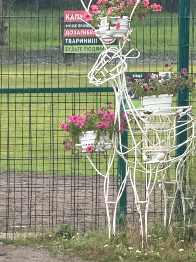 The image shows a decorative white metal deer sculpture with potted flowers. The sculpture is placed in front of a green metal fence. Behind the fence, there is a grassy area. There are signs posted on the fence, one of which reads "Капу" (Kapu) in red letters, and other text in Ukrainian which appears to be a warning. Another sign reads "Вівця" (Vivtsya) in blue letters. The scene is located in Zaliznychne, Ukraine, as indicated by the provided context. The deer sculpture has a birdcage hanging from it. The flowers in the pots are pink and purple. The overall environment appears to be an outdoor public space, possibly a park or garden.