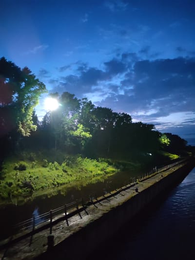 A night scene featuring a waterway bordered by a grassy area and a line of trees illuminated by a bright light source, likely a street lamp. A concrete structure with a metal railing runs along the water's edge. The sky is a mix of dark blue and cloudy patches, suggesting late evening or early night. Given the location as Faliukovo, Russia, it's possible the waterway is a river or canal. There are no people visible in the image.
