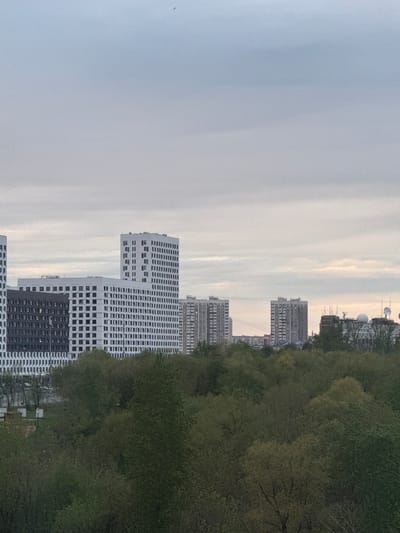 The image depicts an urban landscape, likely Перепечино, Russia, given the building architecture and tree line. It is oriented vertically. The scene is dominated by several modern high-rise buildings with repetitive window patterns. The buildings are a mix of white and dark gray tones. Adjacent to the buildings is a dense line of trees with green foliage. The sky is overcast, with a uniform gray color suggesting a cloudy day. In the distance, satellite dishes are visible on top of buildings. In the sky, a tiny bird can be seen.