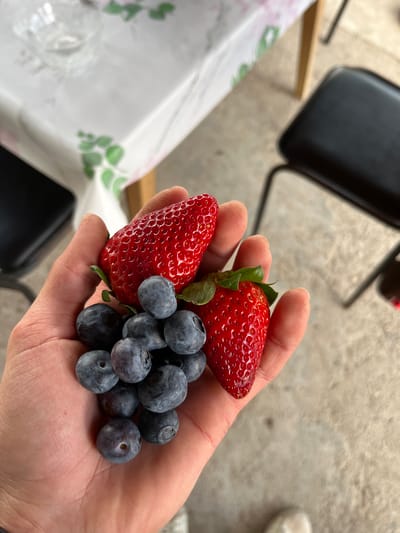 A hand holds two strawberries and a cluster of blueberries. The strawberries are bright red with green leaves still attached. The blueberries are a muted blue-gray. The hand is light-skinned. Background elements include a table with a floral patterned tablecloth, a black chair, and a light-colored concrete surface. The location is not discernible as Karavelovo, Bulgaria without additional information. No people are fully visible, only a hand is shown. The action depicted is holding fruit. There is no apparent interaction other than the hand holding the fruit. The environment is indoors.