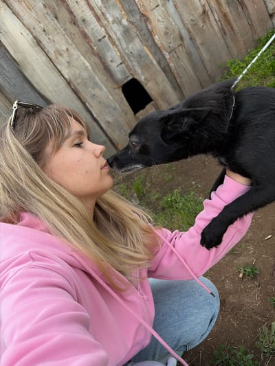 A young woman is lying down or reclining outdoors, looking up affectionately at a black dog. The dog is positioned above her, its front paws resting on her arm, and its nose is touching her lips in what appears to be a nuzzle or kiss. The woman has long blonde hair, which flows around her head, and she is wearing a pink hooded sweatshirt and blue denim jeans. She has a pair of sunglasses resting on her collar or head.
The setting is an outdoor, possibly rural or backyard environment. To the left and behind the woman, weathered wooden planks form a wall or ground structure, with a dark, rectangular opening visible in one of the planks. Green grass and patches of dirt are visible in the background, particularly to the right and upper parts of the image. A thin white string or wire runs across the upper left background. The lighting suggests it is daytime, with clear weather. The overall impression is one of a warm, affectionate interaction between a person and their pet in Чумна, Russia. There is no visible text in the image.