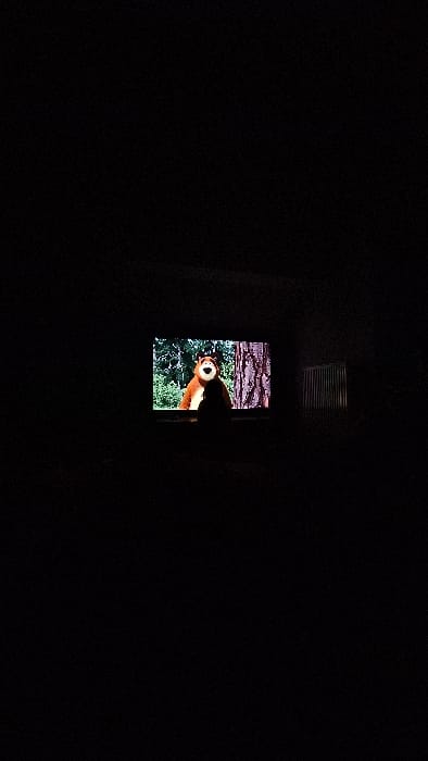 The image depicts a dark room in Herxheim, Germany, primarily illuminated by a television screen. The screen displays an animated brown bear with a lighter snout, positioned against a background of green foliage and a tree trunk with visible bark. A dark, indistinct silhouette of an individual, showing a head and upper torso, is situated directly in front of the television, obscuring its lower portion. To the right of the television, a vertical, rectangular object with horizontal slats, possibly a radiator cover or furniture, is faintly discernible. The surrounding areas of the room are obscured by darkness.