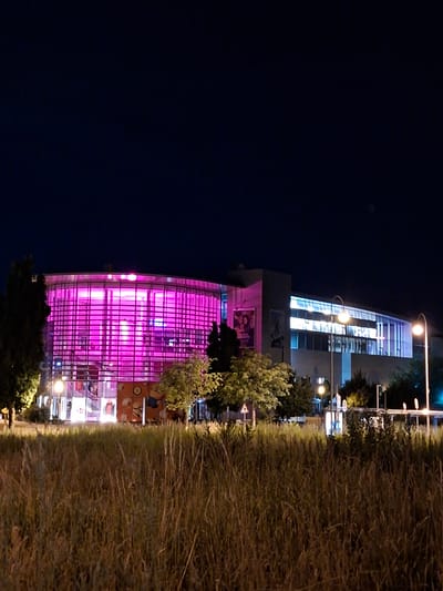 This is a night-time photograph of the Kulturhalle Remchingen, located in the city of Sinzheim, Germany. The building features a prominent, circular section with a glass facade illuminated by bright pink lights, creating a striking visual effect against the dark night sky. Adjacent to this section is a rectangular building with a more conventional facade, featuring windows illuminated with a cooler, blueish light. The foreground is dominated by a dense field of dry, tall grass. Several trees are visible on either side of the building, their foliage partially silhouetted against the illuminated structures. Streetlights with visible lamps are positioned along the property line, casting pools of light. The overall scene depicts a modern cultural building at night, highlighted by artificial lighting and framed by natural elements.