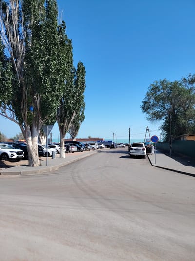 A wide asphalt road curves through a scene in Torangylyq, Kazakhstan. On the left, a row of tall, slender trees with white trunks and lush green foliage stands beside a sidewalk where several white and dark-colored cars are parked. Further down the road, more vehicles are visible in a parking area, with a building labeled "POLISIA" in blue and white text. A body of turquoise water is visible in the distance beyond the parking lot. On the right side of the road, a sidewalk runs alongside a green fence, with a large tree providing shade. A white SUV is parked on the right, with its doors open and two individuals standing near it. A blue and red circular traffic sign is mounted on a pole. The sky is a clear, bright blue.