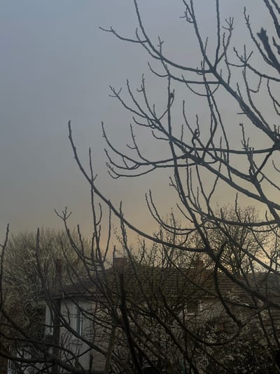 The image depicts bare tree branches silhouetted against a hazy, overcast sky. In the background, a building with a chimney and windows is partially visible through the branches. The scene appears to be from Oreshnik, Bulgaria, based on the provided context. The photo is rotated. There are no people visible.