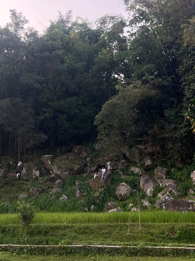 This image depicts a scenic view of a terraced rice paddy in Tetebatu, Indonesia, with a steep, rocky hillside covered in lush vegetation and trees in the background. Several people are visible on the rocky slope, appearing to be exploring or resting. The foreground features vibrant green rice fields, with a stone wall or boundary running along the bottom edge of the frame. The hillside is dotted with large boulders, some covered in moss, and dense foliage, including trees and bamboo. The sky is overcast. The scene suggests a natural landscape with human presence, indicative of a popular spot for recreation or sightseeing in Tetebatu.