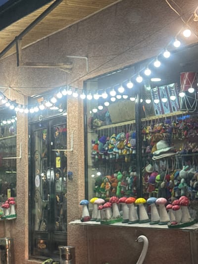 This image depicts the illuminated storefront of a retail establishment at night, located in Manavi, Georgia. The building facade is constructed from a textured, light brown material, possibly stucco. Overhead, a dark, arched structure, likely an awning or part of the roof, is visible, supported by wooden beams and featuring a ribbed underside.
The storefront is prominently lit by a string of numerous spherical white light bulbs extending across its entire width. Centrally positioned is a dark, double-leaf door adorned with intricate, golden-colored metalwork patterns. A small blue evil eye charm hangs from the left door. On either side of the door are large display windows showcasing merchandise.
On two ledges extending from the base of these windows, numerous colorful mushroom figurines are displayed. These figures have white stems and brightly colored caps, including red, yellow, blue, and pink, with some arranged on green bases to simulate ground.
Through the glass of the right display window, a dense collection of various items is visible, including plush toys, dolls, and hats, with one distinct white woven hat resting on a stand. A large, cylindrical object resembling a drum, decorated with red and white patterns, hangs in the upper right portion of this window. Textiles or tapestries are also visible in the background of the display. The left display window is partially obscured, but some red mushroom figures are also visible on a lower shelf inside.
Two cylindrical metal bins or trash receptacles are positioned on the ground, one on each side of the central door. In the bottom right foreground, the white, stylized head and neck of a swan figurine are partially visible. No people are present in the scene.