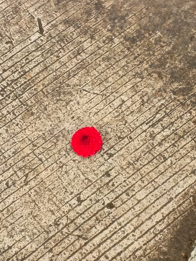 A lone, vibrant red flower rests on a weathered concrete surface. The concrete is textured with parallel grooves, running diagonally across the frame. The flower's circular shape and numerous petals contrast with the harsh lines of the concrete. The lighting appears bright, possibly midday, casting faint shadows from the concrete ridges. The overall scene evokes a sense of fragility against an unyielding backdrop.