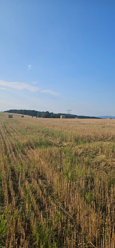 This is a vertical, full-frame, eye-level outdoor photograph taken in Beňadikovce, Slovakia. The image depicts a harvested field with stubble and some green grass growing through it. In the mid-ground, several round hay bales are scattered across the field, and a large electricity pylon is visible in the distance. A line of trees forms a dark green band across the horizon, with rolling hills beyond. The sky is a clear, light blue with a few wispy clouds. The lighting suggests it is a bright, sunny day. There are no people or animals in the image.