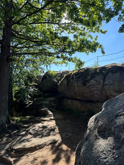 This image captures a view looking up towards a rocky cliff face, partially obscured by lush green foliage. In the foreground, a large tree trunk lies horizontally across the lower part of the frame, its bark textured and weathered. To the left, a canopy of oak trees with vibrant green leaves stretches towards a clear blue sky. The sunlight filters through the leaves, creating dappled patterns on the branches and illuminating the scene.
The rocky cliff face dominates the right side of the image, its surface rough and weathered, with patches of moss and small green plants clinging to its crevices. There are visible metal elements embedded in or attached to the rock, suggesting a man-made structure or trail. The scale of the rocks implies a natural geological formation.
The time of day appears to be late morning or early afternoon, given the bright sunlight and the shadows cast on the rocks. The weather is clear and sunny, indicated by the bright blue sky and the strong illumination. The scene evokes a sense of nature's grandeur and tranquility, with a hint of human interaction through the presence of the metal structures. The location context suggests a natural park or mountainous area, likely within a forest setting. No text is visible in the image.